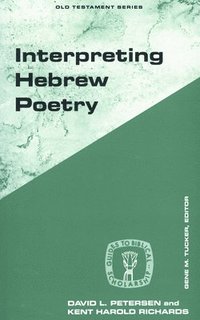bokomslag Interpreting Hebrew Poetry