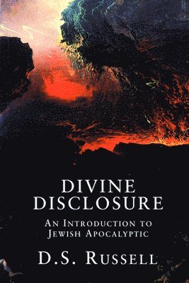 bokomslag Divine Disclosure