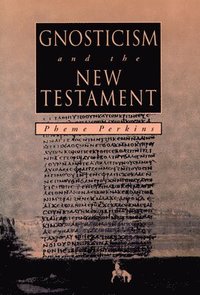 bokomslag Gnosticism and the New Testament