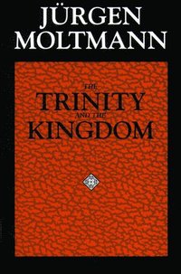 bokomslag The Trinity and the Kingdom of God