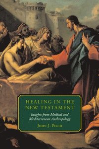bokomslag Healing in the New Testament