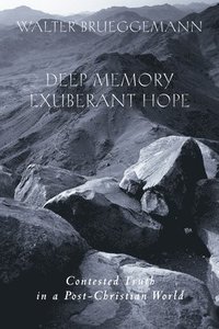 bokomslag Deep Memory, Exuberant Hope