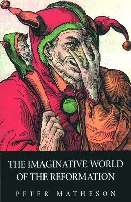 bokomslag The Imaginative World of the Reformation