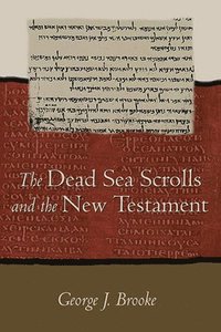 bokomslag Dead Sea Scrolls and the New Testament (Paper)