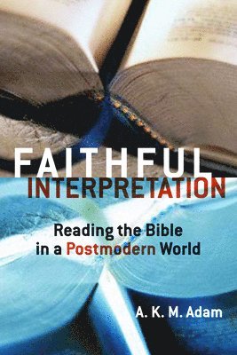 bokomslag Faithful Interpretation