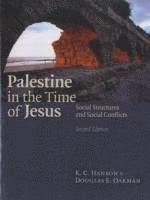 bokomslag Palestine in the Time of Jesus