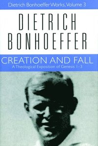 bokomslag Creation and Fall