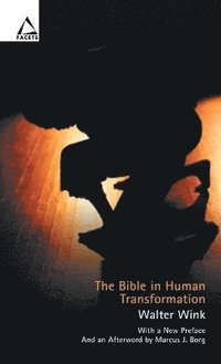 bokomslag The Bible in Human Transformation