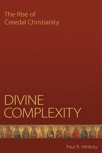 bokomslag Divine Complexity