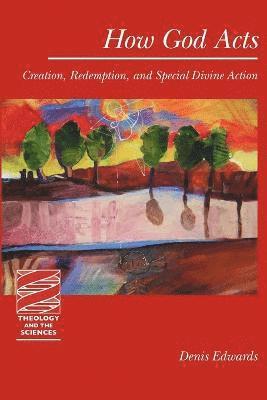 Denis Edwards, Denis Edwards - How God Acts, Häftad