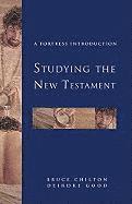 bokomslag Studying the New Testament