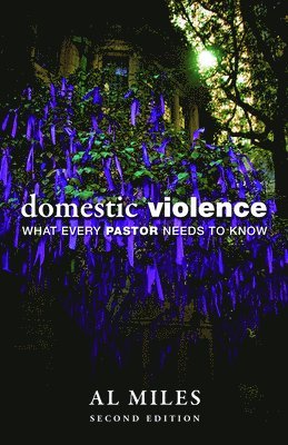 bokomslag Domestic Violence