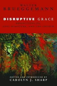 bokomslag Disruptive Grace