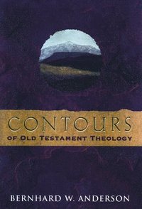 bokomslag Contours of Old Testament Theology