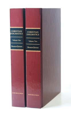 bokomslag Christian Dogmatics