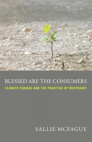 bokomslag Blessed Are the Consumers