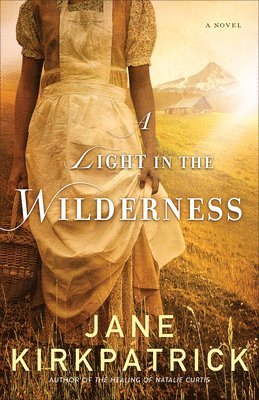 bokomslag A Light in the Wilderness  A Novel