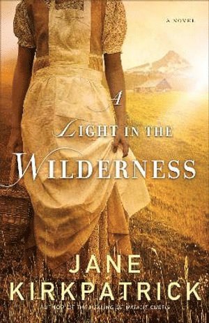 bokomslag Light in the Wilderness - A Novel