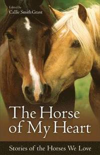 bokomslag The Horse of My Heart - Stories of the Horses We Love