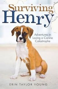 bokomslag Surviving Henry - Adventures in Loving a Canine Catastrophe