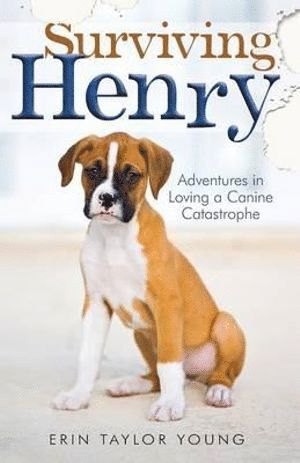 bokomslag Surviving Henry - Adventures in Loving a Canine Catastrophe