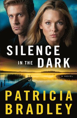 bokomslag Silence in the Dark - A Novel