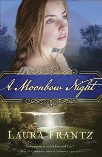 bokomslag A Moonbow Night