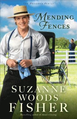 Mending Fences 1