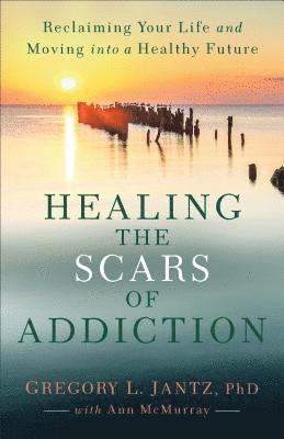 bokomslag Healing the Scars of Addiction