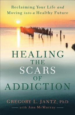 Healing the Scars of Addiction, Häftad