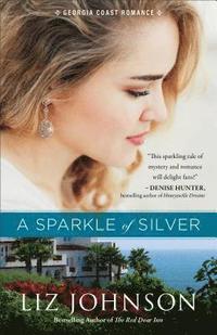 bokomslag Sparkle of Silver, A