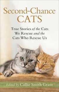 bokomslag SecondChance Cats  True Stories of the Cats We Rescue and the Cats Who Rescue Us
