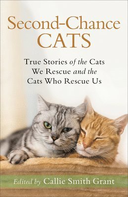 SecondChance Cats  True Stories of the Cats We Rescue and the Cats Who Rescue Us 1