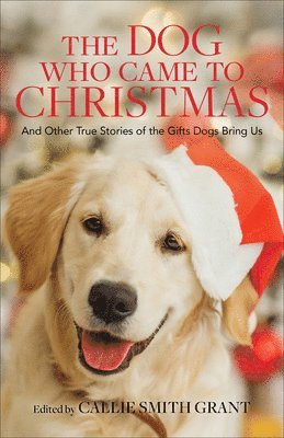 bokomslag The Dog Who Came to Christmas  And Other True Stories of the Gifts Dogs Bring Us