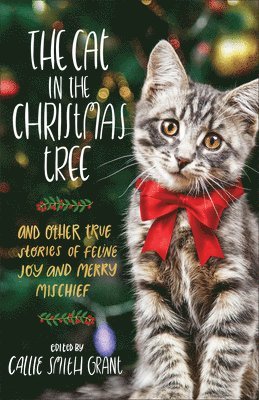 The Cat in the Christmas Tree  And Other True Stories of Feline Joy and Merry Mischief 1