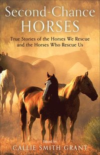 bokomslag SecondChance Horses  True Stories of the Horses We Rescue and the Horses Who Rescue Us
