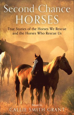 SecondChance Horses  True Stories of the Horses We Rescue and the Horses Who Rescue Us 1