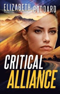bokomslag Critical Alliance