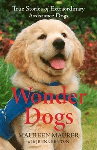 bokomslag Wonder Dogs