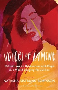 bokomslag Voices of Lament  Reflections on Brokenness and Hope in a World Longing for Justice