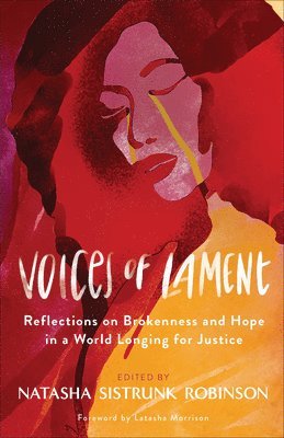 bokomslag Voices of Lament - Reflections on Brokenness and Hope in a World Longing for Justice