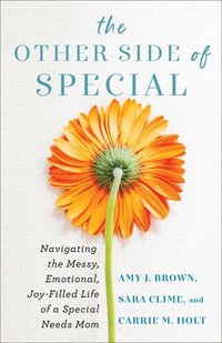 bokomslag The Other Side of Special  Navigating the Messy, Emotional, JoyFilled Life of a Special Needs Mom