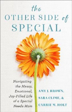 bokomslag Other Side of Special - Navigating the Messy, Emotional, Joy-Filled Life of a Special Needs Mom