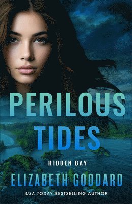 bokomslag Perilous Tides