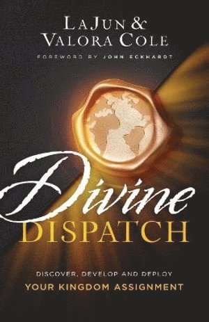 bokomslag Divine Dispatch - Discover, Develop and Deploy Your Kingdom Assignment