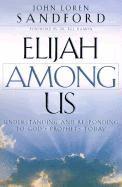 bokomslag Elijah Among Us  Understanding and Responding to God`s Prophets Today