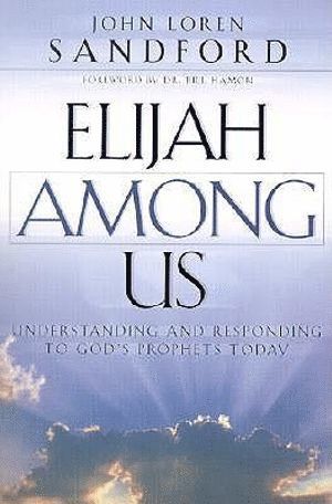 bokomslag Elijah Among Us - Understanding and Responding to God`s Prophets Today