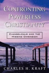 bokomslag Confronting Powerless Christianity  Evangelicals and the Missing Dimension