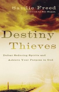 bokomslag Destiny Thieves - Defeat Seducing Spirits and Achieve Your Purpose in God