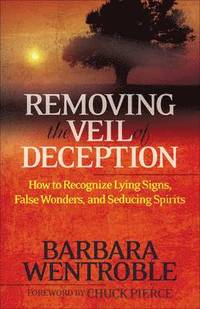 bokomslag Removing the Veil of Deception How to Recognize Ly ing Signs, False Wonders, and Seducing Spirits